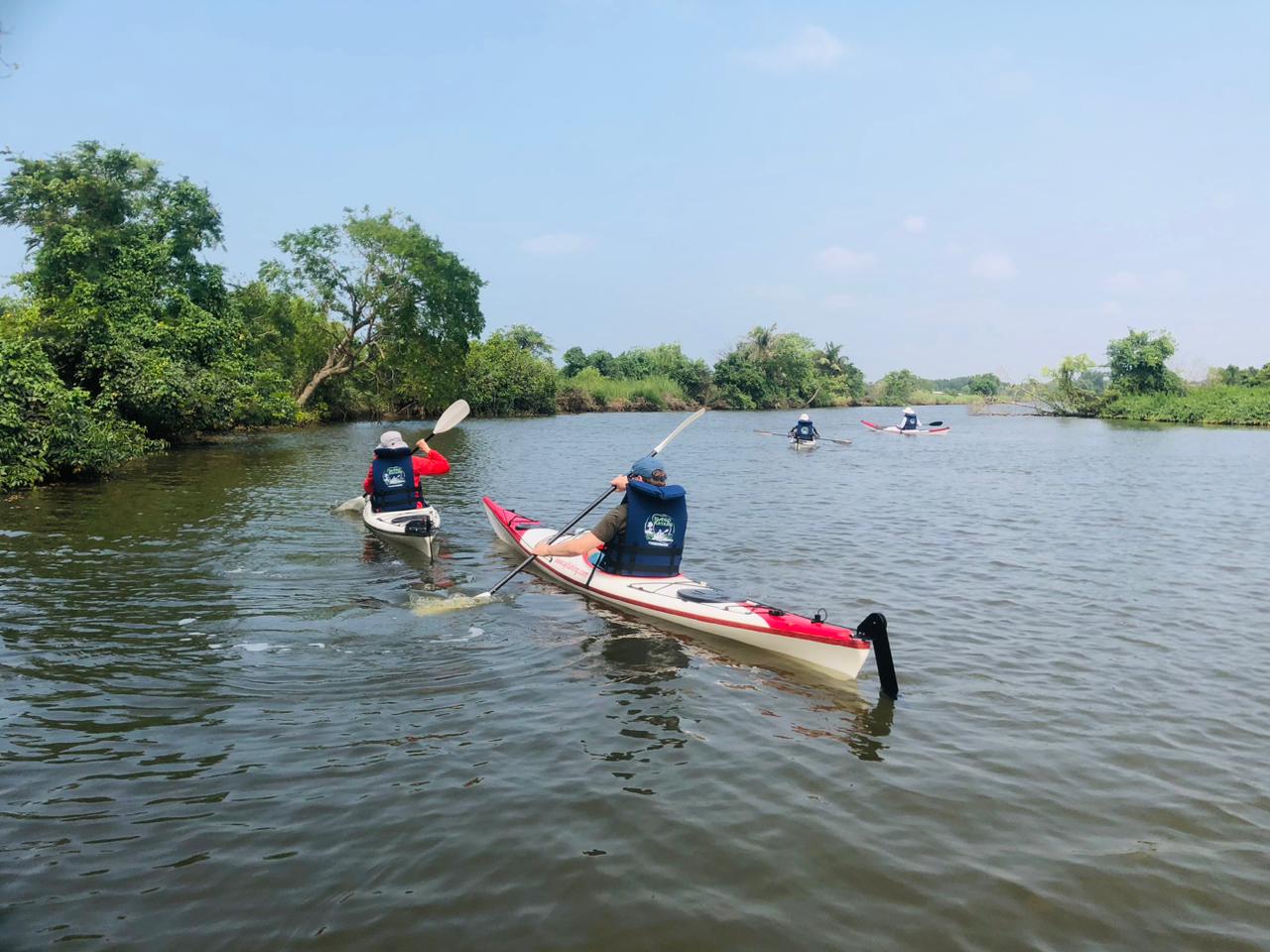 Kayaking experience in tropical nature