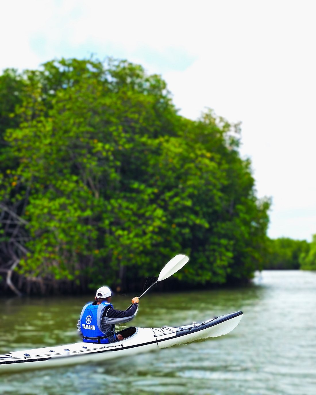 Kayaking through the natural waterways of Thoduwawa