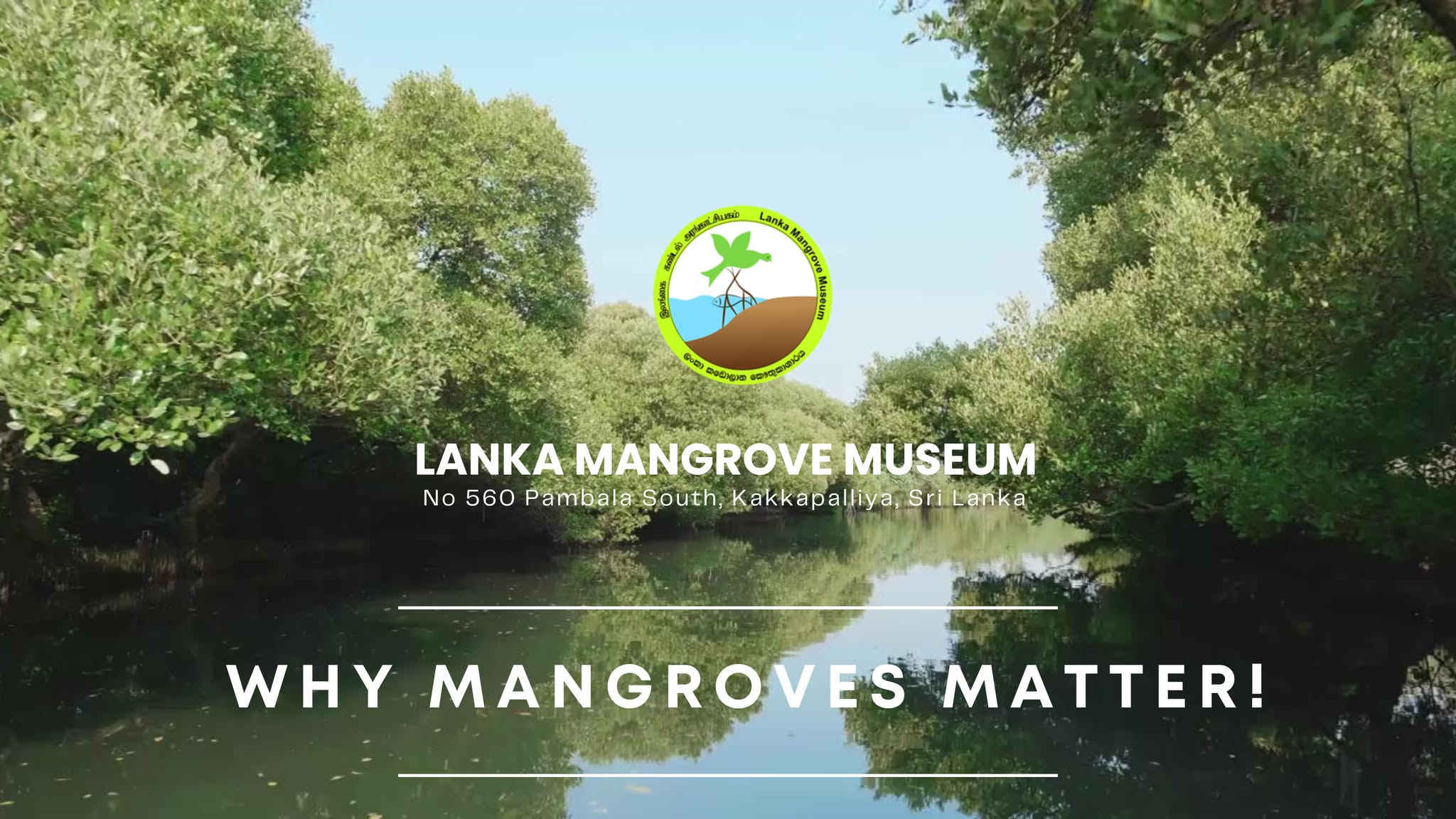 Lanka Mangrove Museum